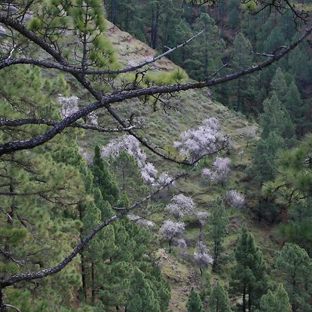 Casa Rural El Riachuelo Garafía エクステリア 写真