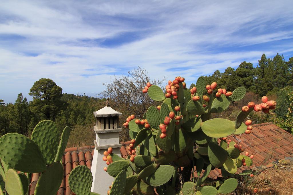 Casa Rural El Riachuelo Garafía エクステリア 写真